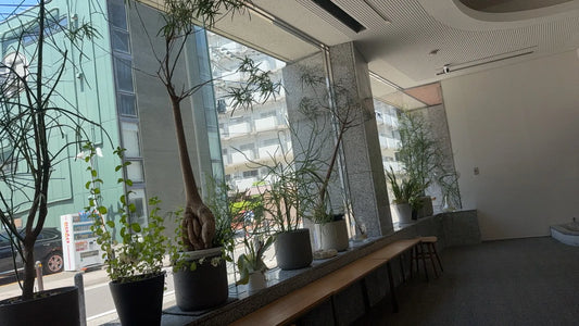 【展示会レポート】2025年5月福岡展示会を振り返って